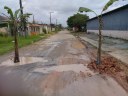 Luzinei Delgado mostra bananeiras plantadas em rua do bairro de Santo Antônio